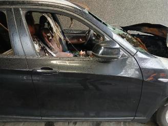 BMW X3 X3 (F25), SUV, 2010 / 2017 xDrive20d 16V picture 17