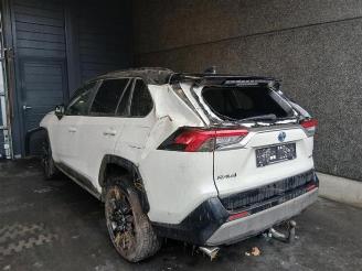 Toyota Rav-4 RAV4 (A5), Terreinwagen, 2018 2.5 Hybrid 16V picture 9