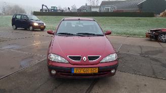 occasione autovettura Renault Mégane  2001/2