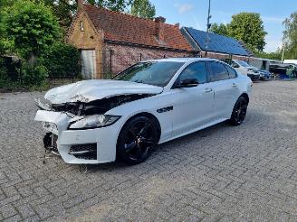 skadebil auto Jaguar XF 20d Aut. Rsport Pano Navi Led 2015/10