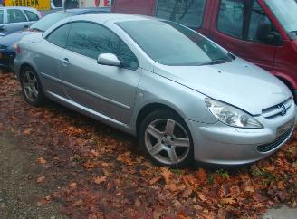  Peugeot 307 cc 2005/1