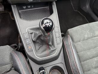 Seat Ibiza 1.0 TSI FR Business Intense -PANO-NAVI-CAMERA-PDC picture 18