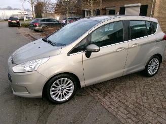  Ford B-Max 1.0 TITANIUM CLIMA 2013/3