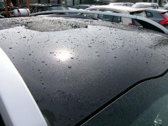 Peugeot 2008 1.2 PURETECH BLUE LION AIRCO NAVI PANO picture 12