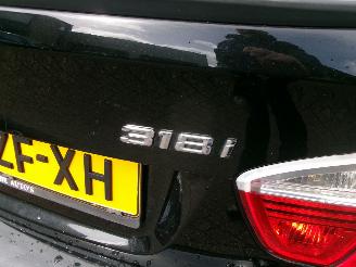 BMW 3-serie 318 I BUSINESS LINE CLIMA NAVI SEDAN picture 10