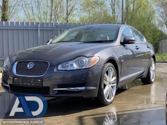 Sloopauto Jaguar XF XF (CC9), Sedan, 2008 / 2015 3.0 D V6 24V 2010