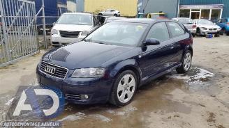 disassembly passenger cars Audi A3 A3 (8P1), Hatchback 3-drs, 2003 / 2012 1.9 TDI 2004