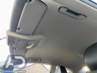 Audi A5 A5 (8T3), Coupe, 2007 / 2017 3.0 TDI V6 24V Quattro picture 15