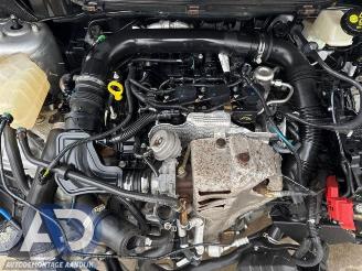 Ford EcoSport EcoSport (JK8), SUV, 2013 1.0 EcoBoost 12V 125 picture 18