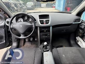 Peugeot 207 207 SW (WE/WU), Combi, 2007 / 2013 1.6 16V picture 13