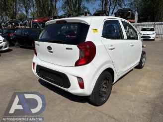 Autoverwertung Kia Picanto Picanto (JA), Hatchback, 2017 1.0 12V 2017/8