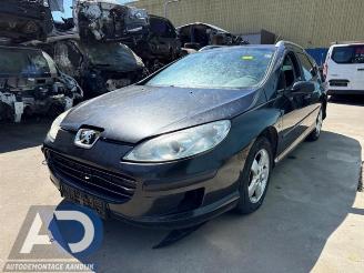  Peugeot 407 407 SW (6E), Combi, 2004 / 2010 2.0 16V 2007