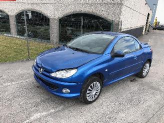 Avarii autoturisme Peugeot 206+ 1.6 2004/7