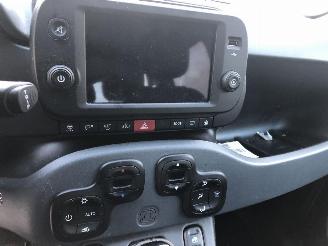 Fiat Panda CITY CROSS picture 15