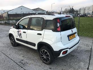 Fiat Panda CITY CROSS picture 3