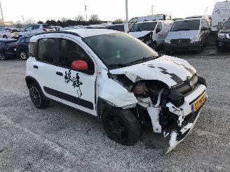 Fiat Panda 1.0 HYBRIDE picture 2