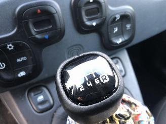 Fiat Panda CITY CROSS picture 14