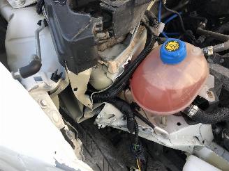 Fiat Panda CITY CROSS picture 21