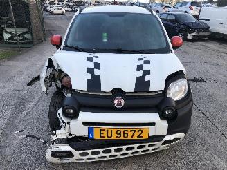 Fiat Panda CITY CROSS picture 9
