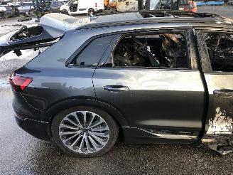 Audi Q8 E-TRON picture 10