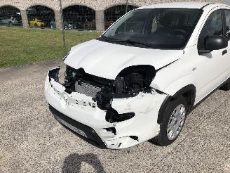 Fiat Panda 1.0 HYBRIDE picture 11