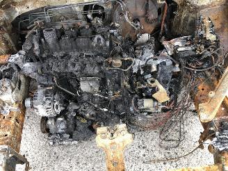 Volkswagen Golf ALLSTAR picture 14