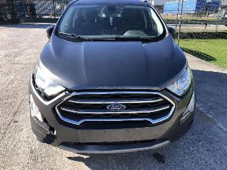 Ford EcoSport 1.0 ECOBOOST picture 22