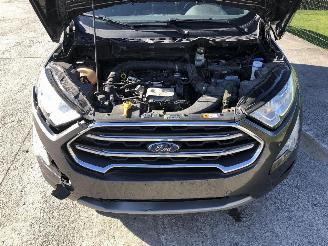 Ford EcoSport 1.0 ECOBOOST picture 15