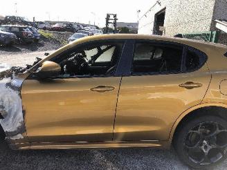 Alfa Romeo Stelvio Q4 picture 5