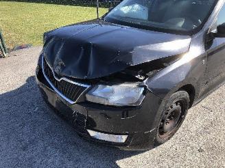 Skoda Rapid 1.6 tdi picture 7