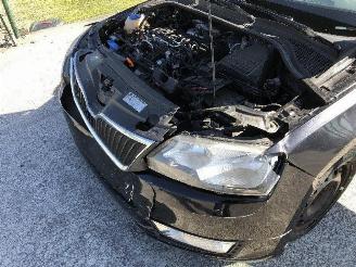 Skoda Rapid 1.6 tdi picture 22