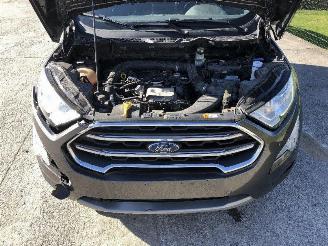Ford EcoSport 1.0 ECOBOOST picture 22