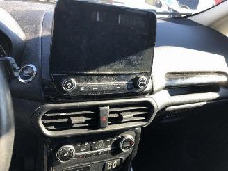 Ford EcoSport 1.0 ECOBOOST picture 18