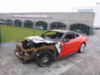 Ford Mustang  picture 3