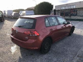 Volkswagen Golf 1.6 tdi trendline picture 2
