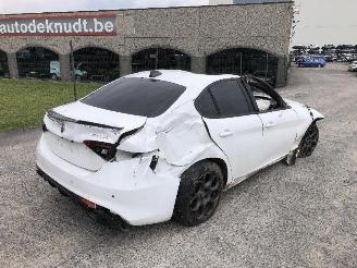 Salvage car Alfa Romeo Giulia 2.0 TURBO 55273835 2019/10