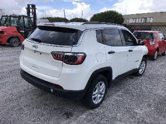 Salvage car Jeep Compass 2.4   MULTI AIR 2021/2