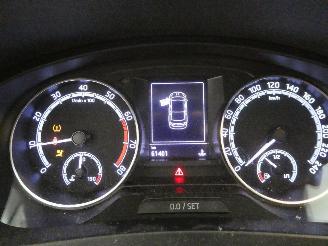 Skoda Rapid AMBITION picture 12