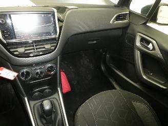 Peugeot 2008 ACTIVE picture 13