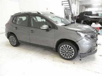 Peugeot 2008 ACTIVE picture 9