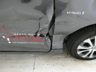 Toyota Prius LOUNGE picture 11