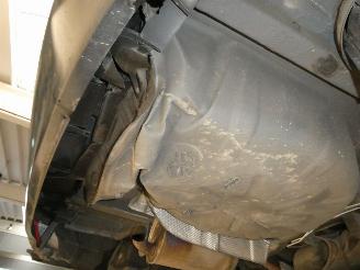 Dacia Logan RAINBOW picture 33