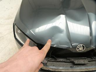 Skoda Fabia ACTIVE picture 6