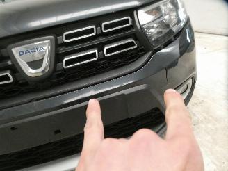 Dacia Sandero BS RAINBOW picture 3