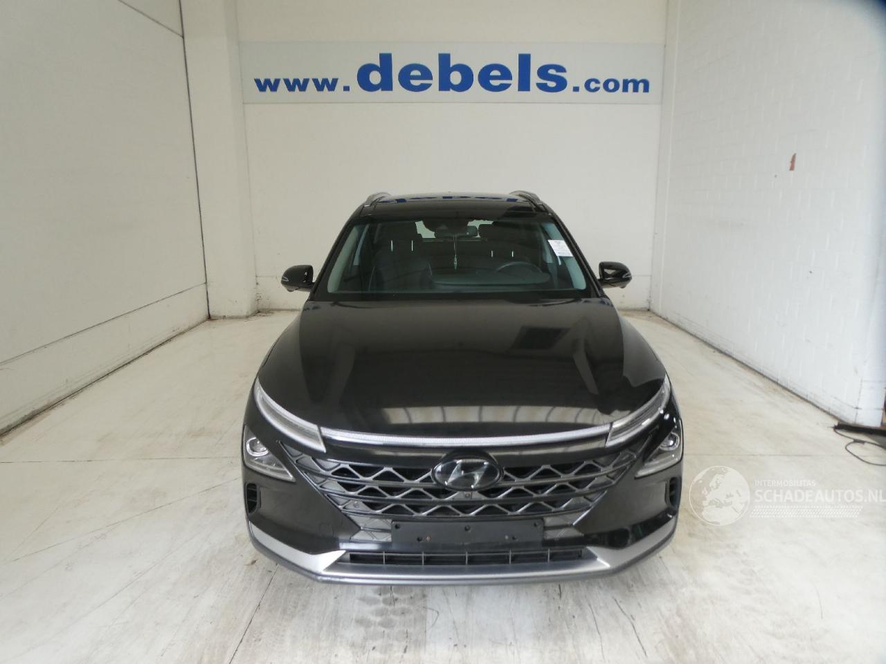 Hyundai Nexo WATERSTOF