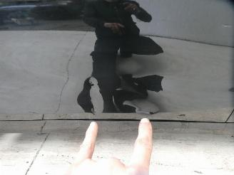 BMW 1-serie  picture 4