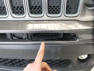 Jeep Renegade LIMITED picture 5