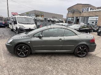 Peugeot 307  picture 8