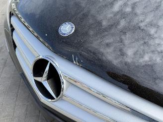 Mercedes B-klasse  picture 11