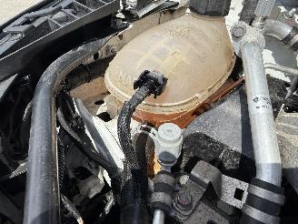 Renault Clio PAS POUR LA FRANCE picture 17